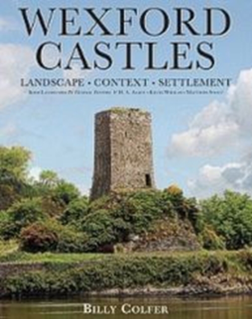 Wexford Castles : Environment, Settlement and Society