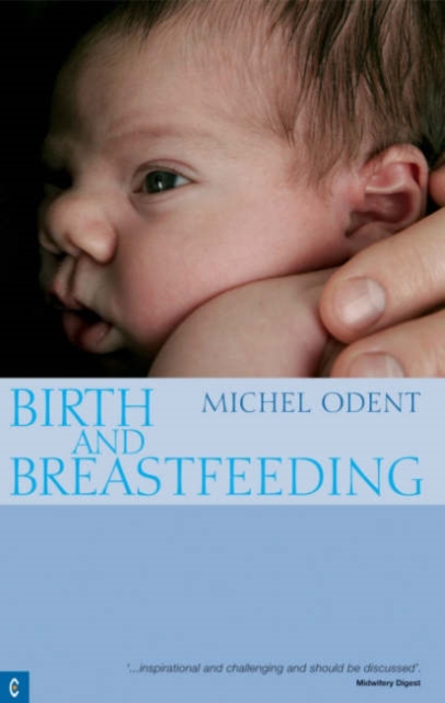 Birth and Breastfeeding : Rediscovering the Needs of Women During Pregnancy and Childbirth (2nd Edition)