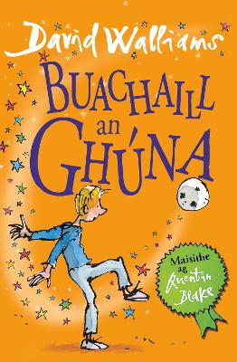 Buachaill an Gh&uacute;na (The Boy in the Dress)