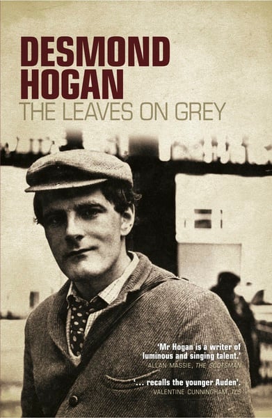Desmond Hogan : The Leaves on Grey (Irish Fiction)