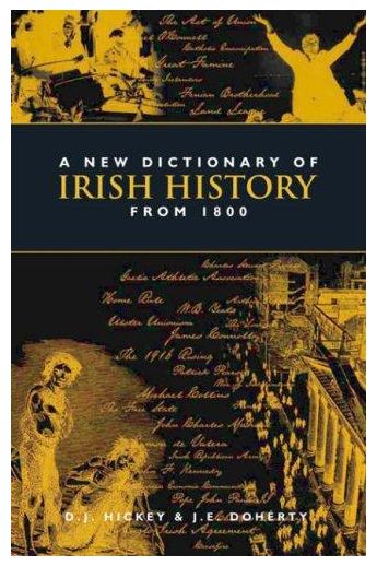 A New Dictionary Of Irish History From 1800