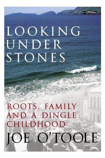 Looking Under Stones: Roots, Family and a Dingle Childhood (Hardback)