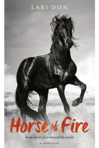 Horse of Fire : horse stories from around the world