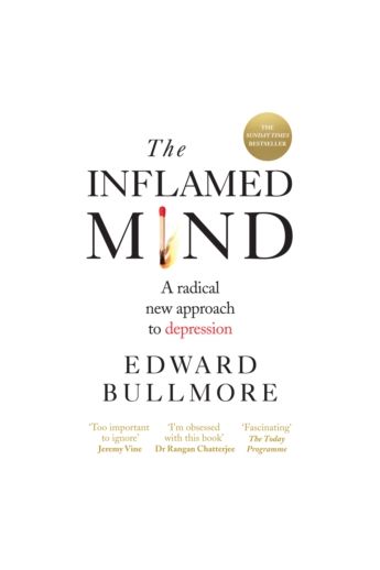 The Inflamed Mind : A radical new approach to depression