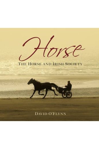 The Horse and Irish Society