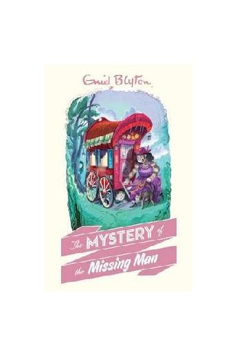 The Mystery of the missing Man (Book 13)