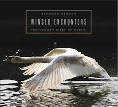 Winged Encounters 