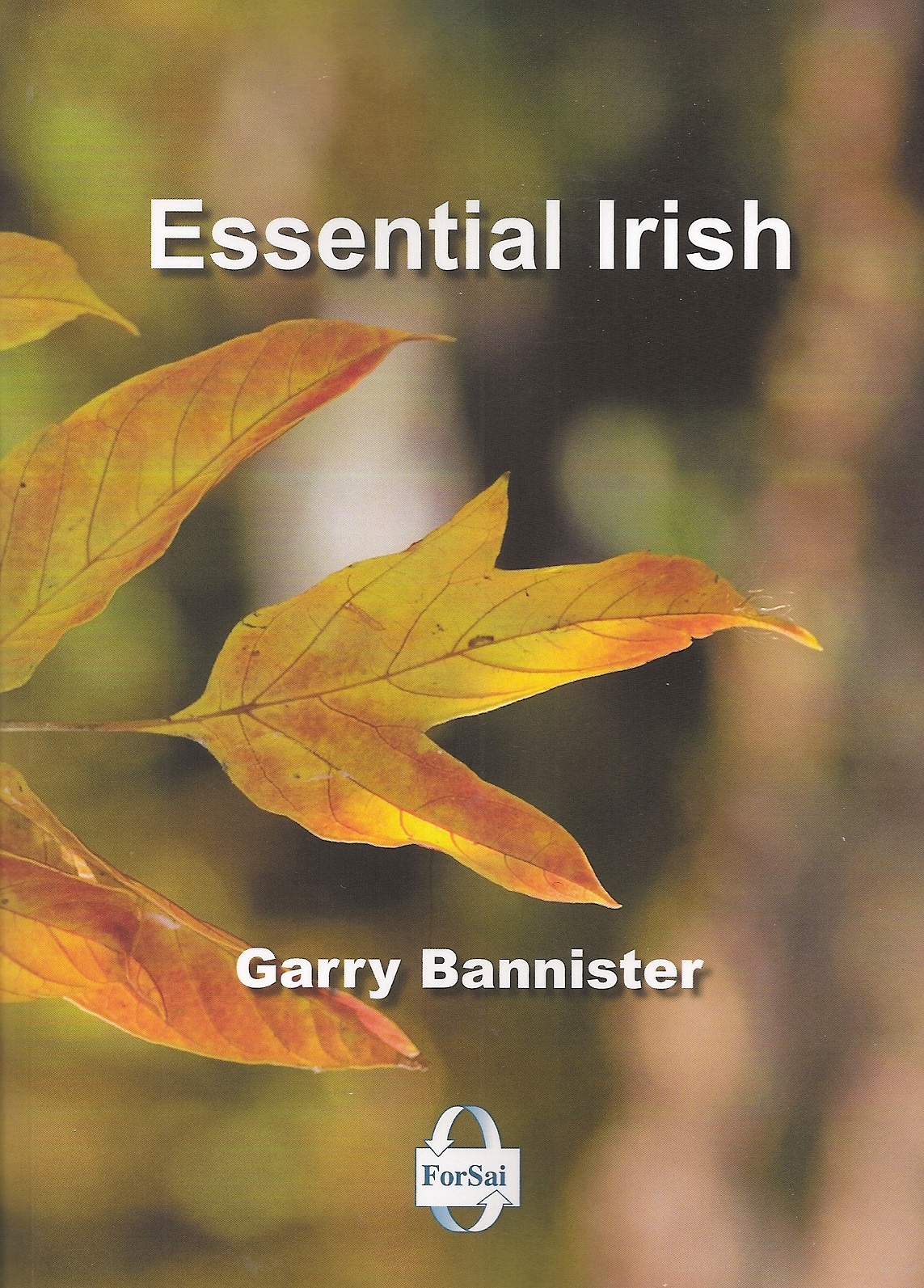 Essential Irish