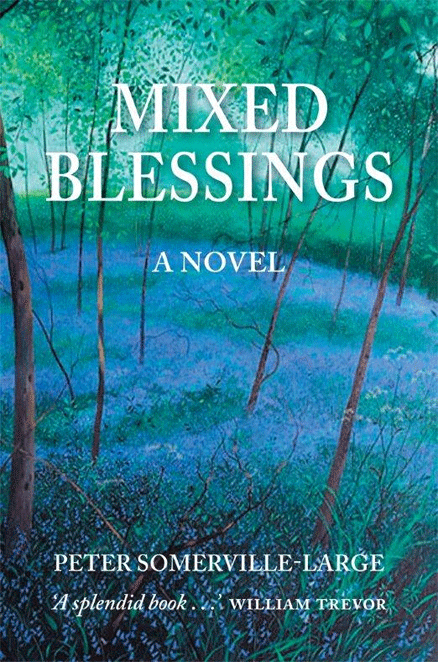 Mixed Blessings: A Novel