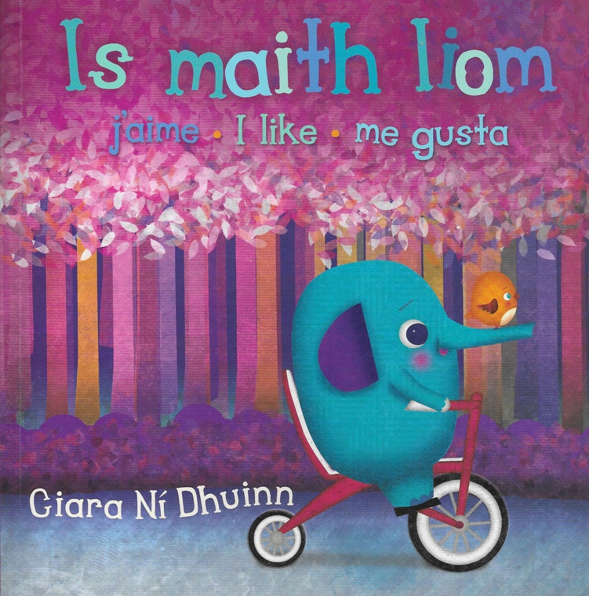 Is Maith Liom (Elie’s Books)