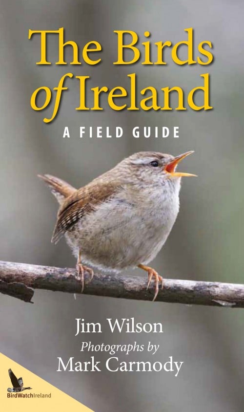 Ireland's Seashore : A Field Guide